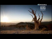 ������ ������ - ������� �������. ������ �� ������� ���������? / Stephen Hawking Grand Design (2012) SATRip 