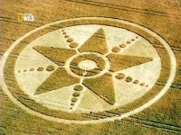 ��������� ��������� ������� (2 �����: 1 �����). �������� ���� / Wild Case Files. Poison Beach (2012) SATRip 