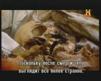 �����: ����� ������� / Zombies: A Living History (2011) SATRip 