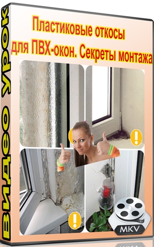 ����������� ������ ��� ���-����. ������� ������� (2012) DVDRip