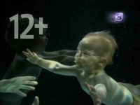 �����������. �� ������ ������ (2012) SATRip 