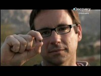 ��������� ���� / Body invaders (2012) SATRip 