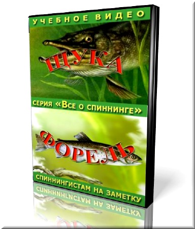 ��� � ���������. ���� � ������ (���������)