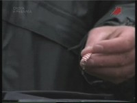 ��� � ���������. ���� � ������ (���������)