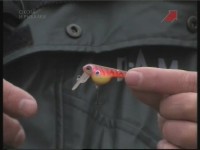 ��� � ���������. ���� � ������ (���������)