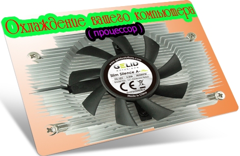 ���������� ������ ���������� (2011) DVDRip