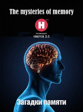 ������� ������ / The mysteries of memory (2010) SATRip 