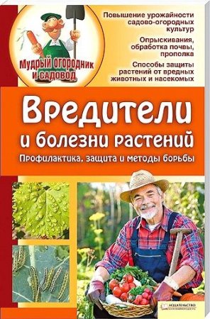 ��������� � ������� ��������. ������������, ������ � ������ ������