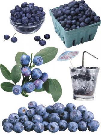 ��������: ����� - �������