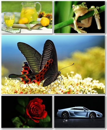 Best HD Wallpapers Pack �721