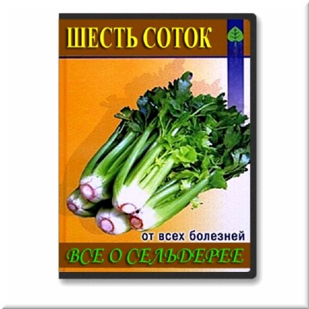 ����� �����. ��� � ��������� (���������)