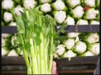 ����� �����. ��� � ��������� (���������)