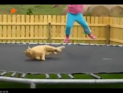 ������ YouTube / ������ 18 (2012/SATRip)