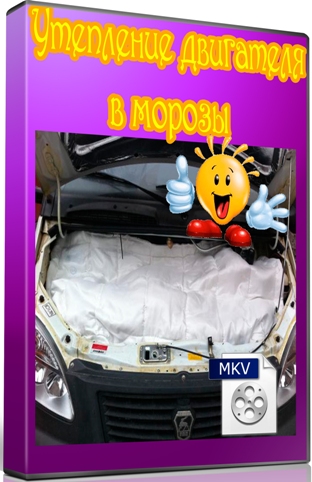 ��������� ��������� � ������ (2011) DVDRip