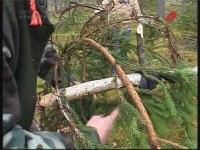 ����� ��� �������� (���������)