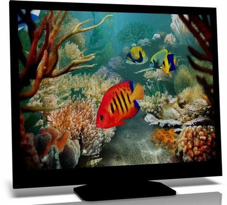 Tropical Fish 3D Screensave 1.2.0.7.