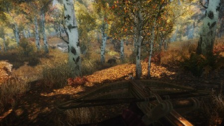 The Elder Scrolls V Skyrim - Reincarnation (2012/RUS)