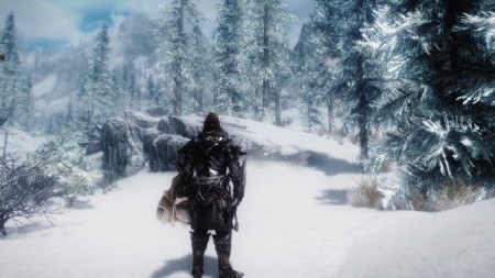 The Elder Scrolls V Skyrim - Reincarnation (2012/RUS)