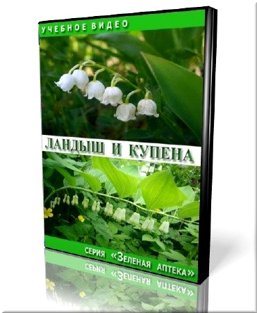 ������� ������. ������ � ������ (���������)