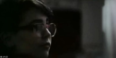 ������ ���� ������� / The Perks of Being a Wallflower (2012/CAMRip)