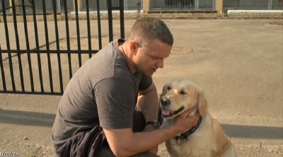 ������� ������ (2012/SATRip)