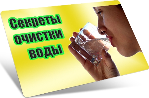 ������� ������� ���� (2011) DVDRip