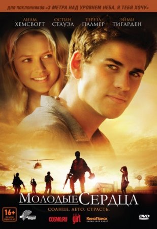 ������� ������ / Love and Honor (2012/DVDRip/1400Mb/700Mb)