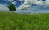 Grassland 3D Screensaver 1.0.0.1.