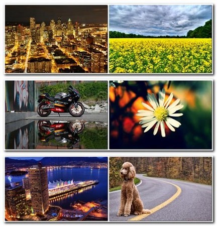 Computer Desktop Wallpapers Collection 521