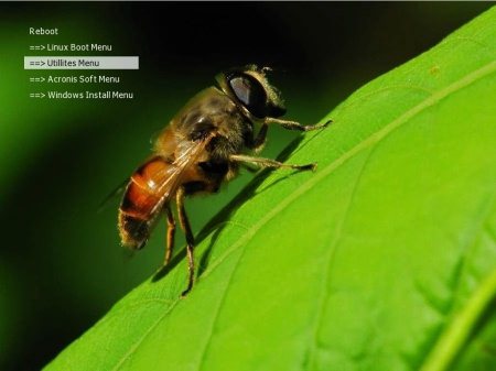 Disk Reanimator DVD5-Edition 2.0 x86/x64 (2012/ENG/ RUS)