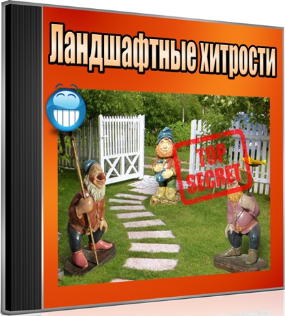 ����������� �������� (2012) DVDRip