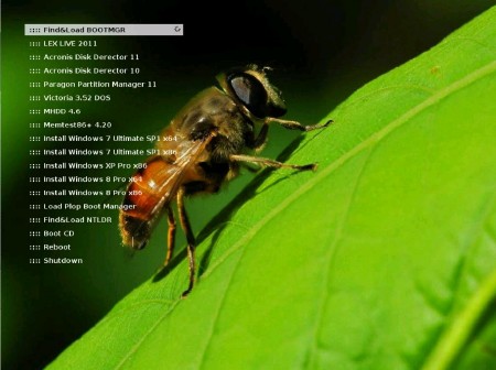 Fibboo Live USB & WPI ��� Grub4Dos v.1.0 (2012/RUS/ENG)