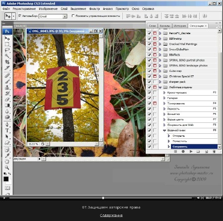  Adobe Photoshop CS3       (2007-2010/SWF) (01.12.2012/RUS)