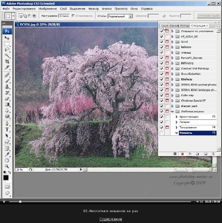  Adobe Photoshop CS3       (2007-2010/SWF) (01.12.2012/RUS)