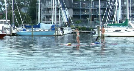 ����� / The Bay (2012) DVDRip