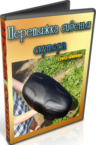 ��������� ������� ������� (2012) DVDRip