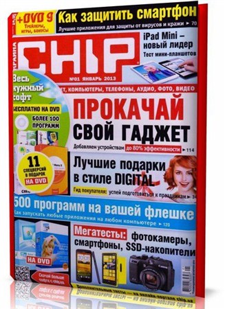 Chip 1 ( 2013) 