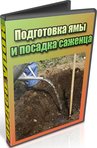 ���������� ��� � ������� ������� (2012) DVDRip