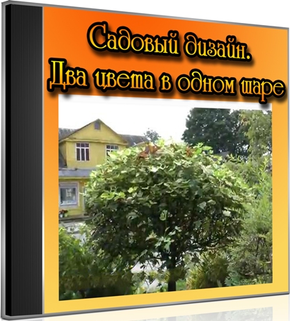 ������� ������. ��� ����� � ����� ���� (2012) DVDRip