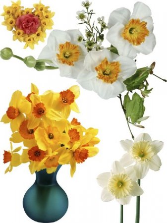 �������� - ��������� ��������