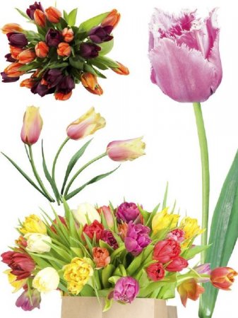 �������� - ��������� �������� (����� ������)