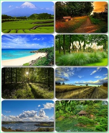 ���� � ��������� ��������� - 111 HQ ���������� �������