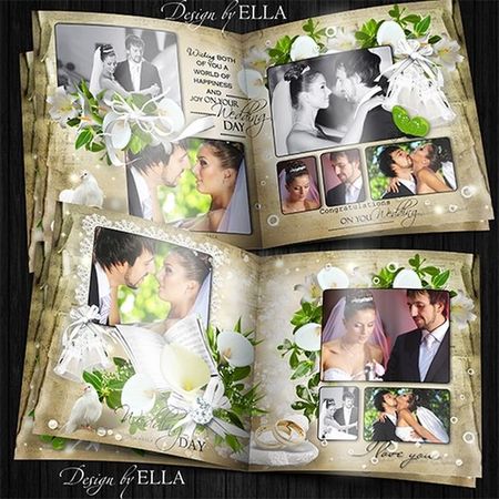 ������ ��������� ���������-������ ����� � ����� (ELLA)