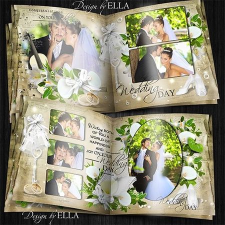 ������ ��������� ���������-������ ����� � ����� (ELLA)