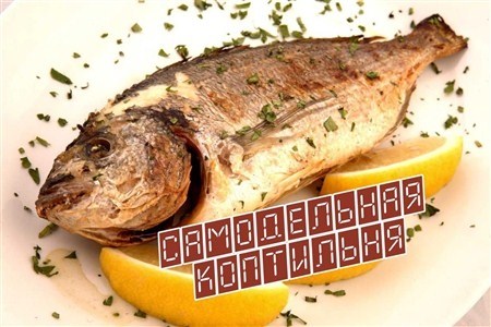 ����������� ��������� (2012)