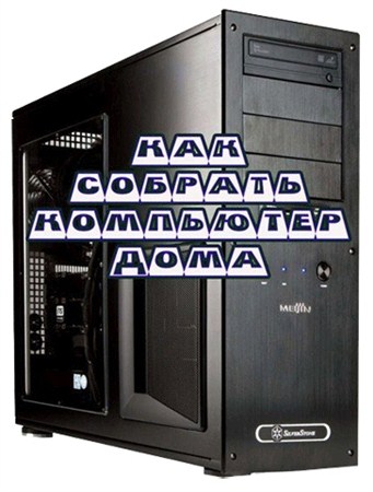 �������� ��������� ���� (2010)