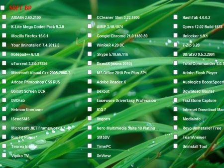 Windows 8 x86 Professional Gold Activation BP & Soft (2013/RUS)