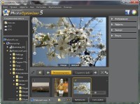 Ashampoo Photo Optimizer 5.3.0.14 build 0857 [������/ �������]