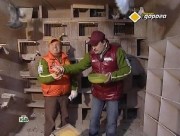   (  19.01.2013) SATRip