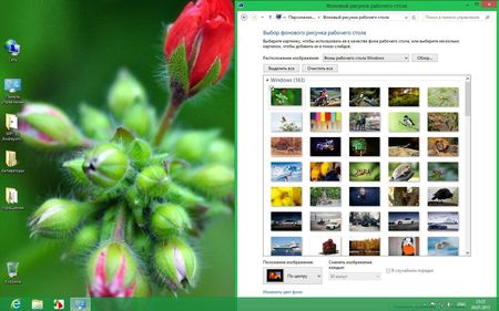 Windows 8 Enterprise DDGroup & WPI by Andreyonohov Leha 342 (x86/RUS/ 2013 )